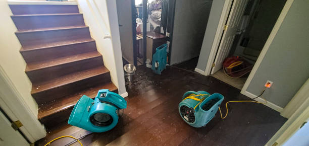 Best Emergency water damage restoration  in Robbinsdale, MN