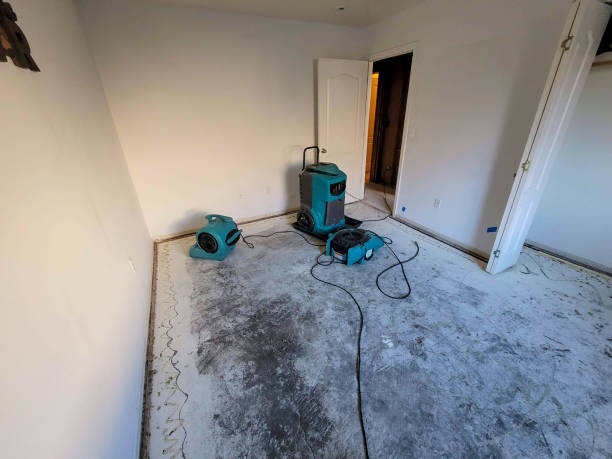 Best Commercial water damage restoration  in Robbinsdale, MN