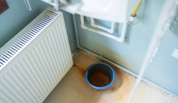 Best Water damage cleanup near me  in Robbinsdale, MN