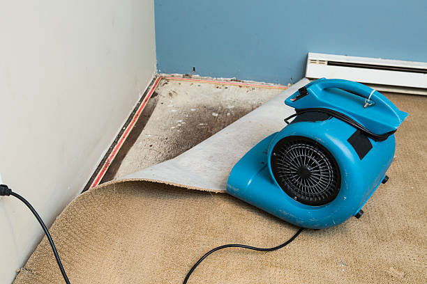 Best Flood damage cleanup  in Robbinsdale, MN